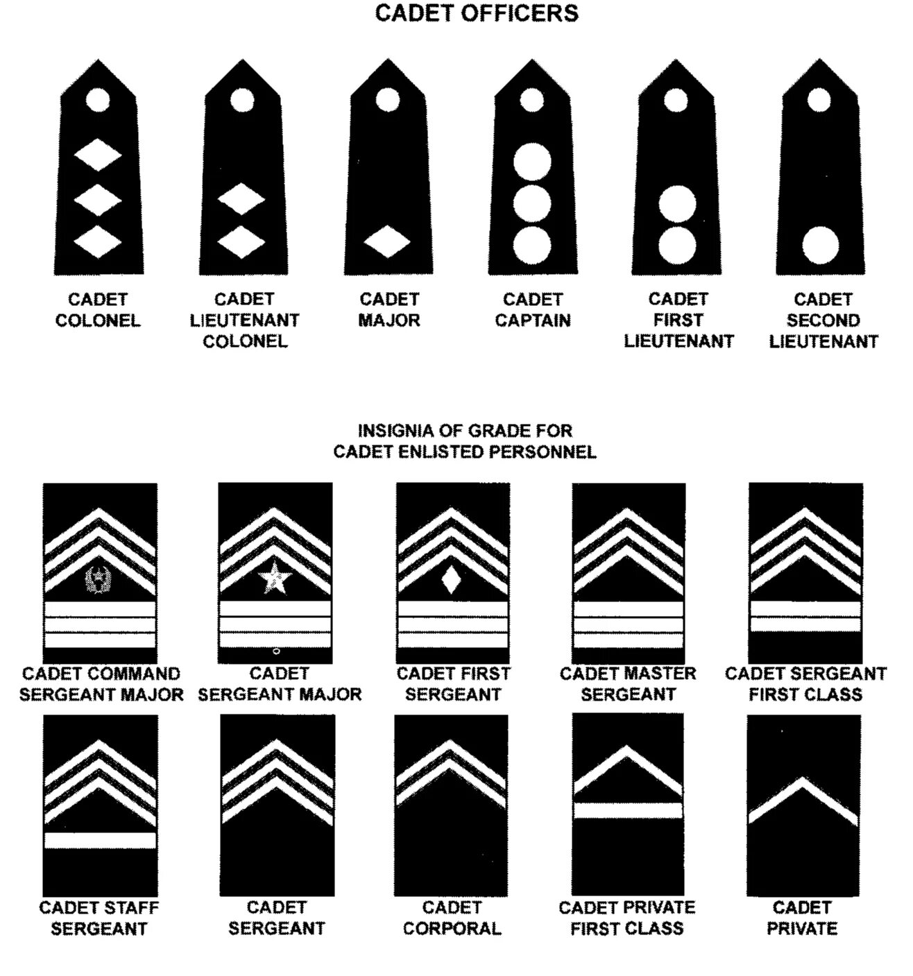 Сокращение сержант. Воинские звания армии США. Военные лычки звания. Погоны армии США. Капрал звание США.