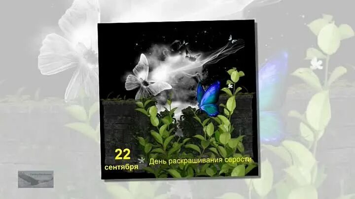 Открытки доброго благословенного дня. Черно белый осень настроение. День раскрашивания серости 22 сентября картинки. День раскрашивания серости. День раскрашивания серости открытка.