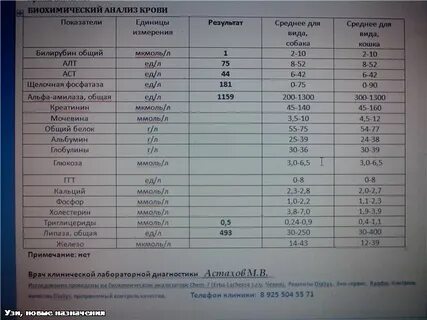 Увеличение селезенки анализы