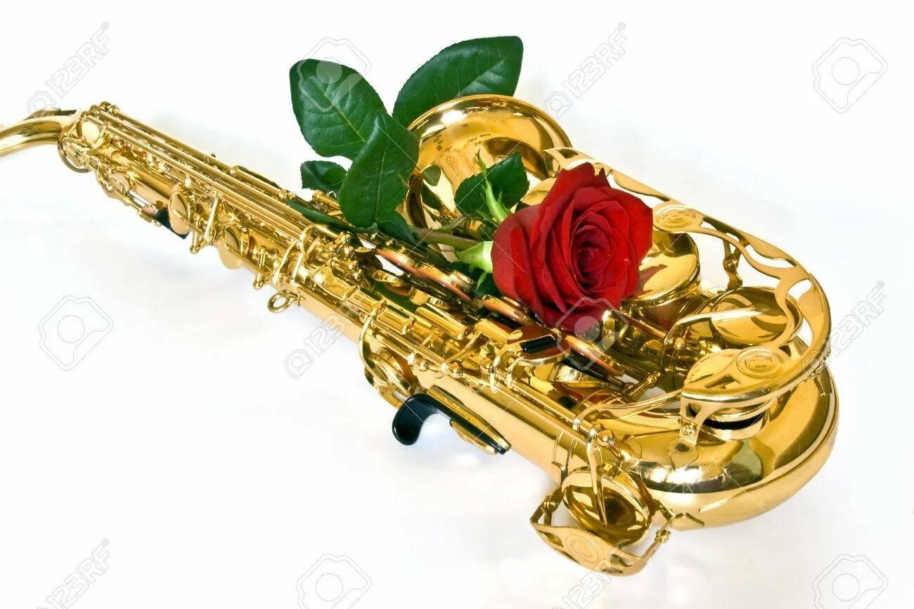 Саксофон и розы. Духовые инструменты и цветы. Саксофон и цветы. Цветы саксофонисту.