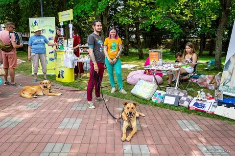 Пет фест