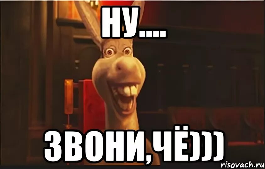 Ну звони давай. Ну давай. Позвони мем. Жду звонка картинки смешные. Ты это заказывай если что.