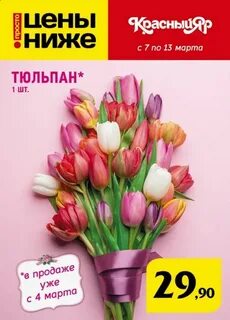 Тюльпаны в окее