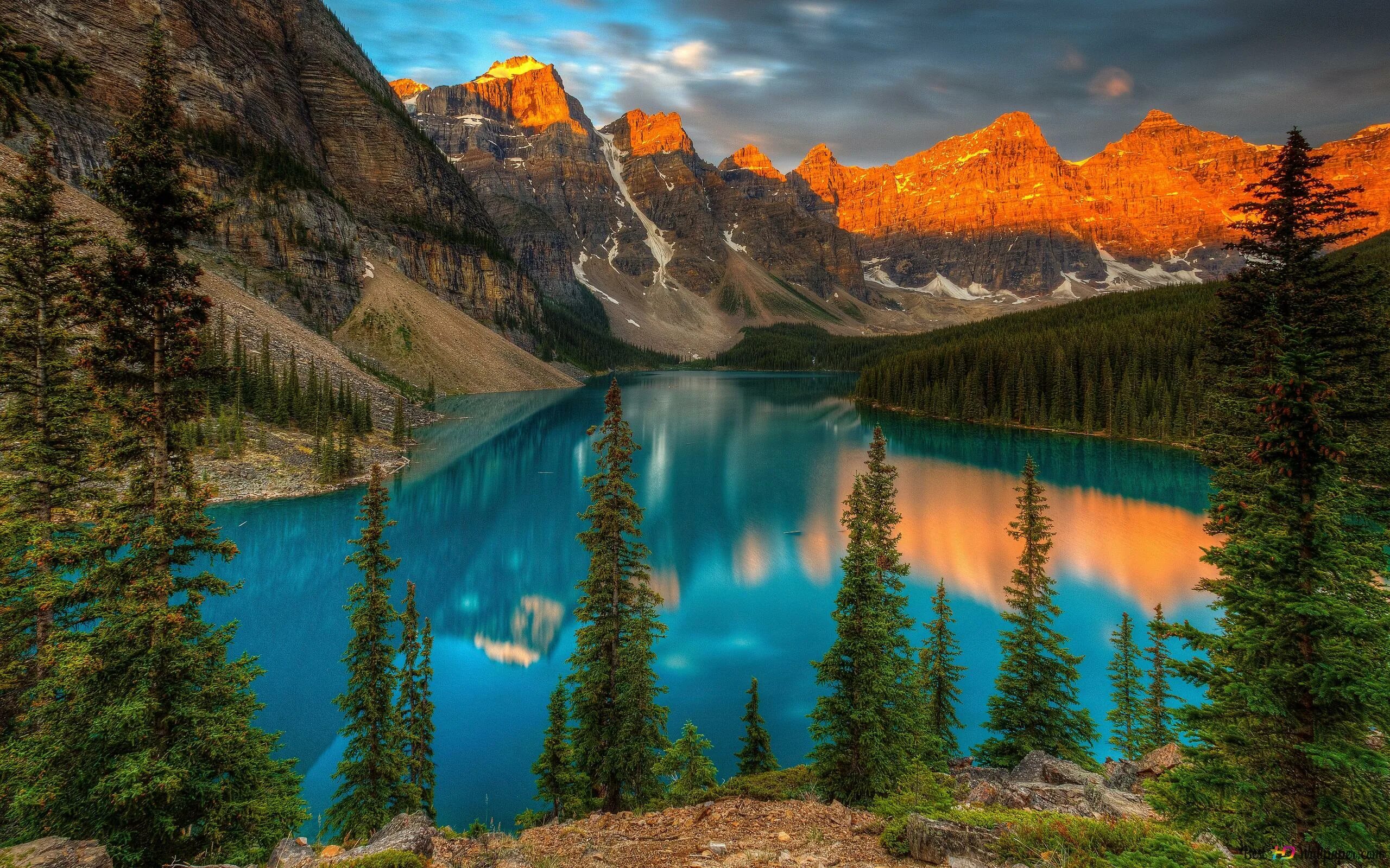 Эллис left 4 dead 2. А. Долина йосемити, сша. Красивая цифра 4. Эллис из left 4 dead.