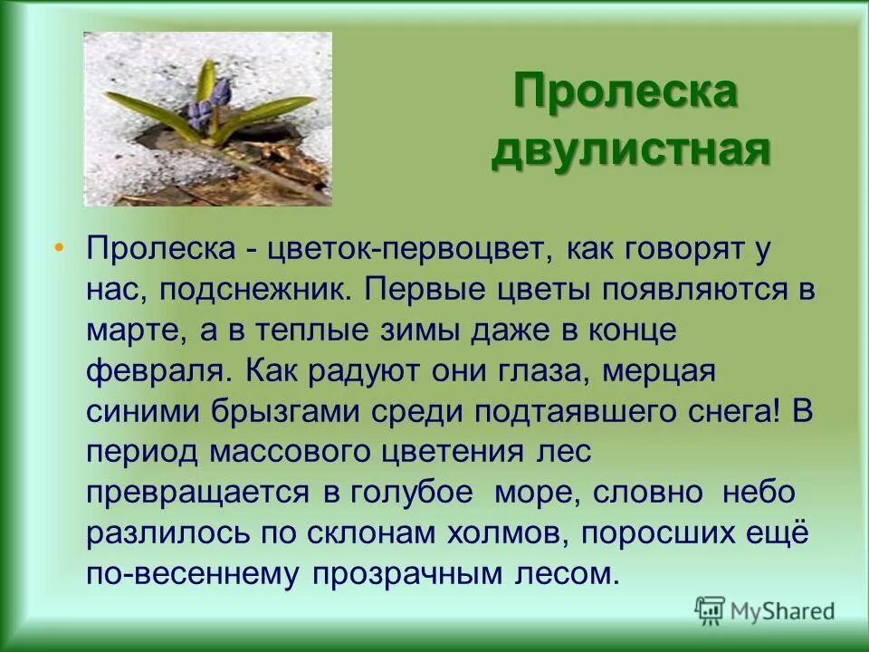 Тест весеннее пробуждение растений 2 класс. Сочинение на тему Весеннее Пробуждение природы. Весеннее Пробуждение растений 2 класс. Сочинение на тему Пробуждение весны.