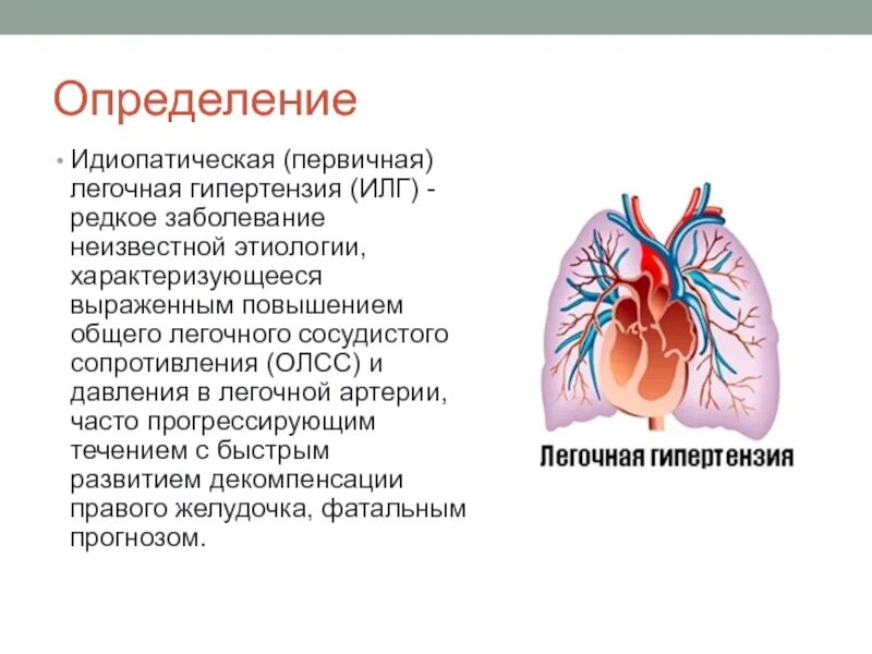 Легочная артериальная гипертензия. Легочная артериальная гипертензия первичная. Синдром легочной артериальной гипертензии. Вторичная легочная гипертензия патанатомия.