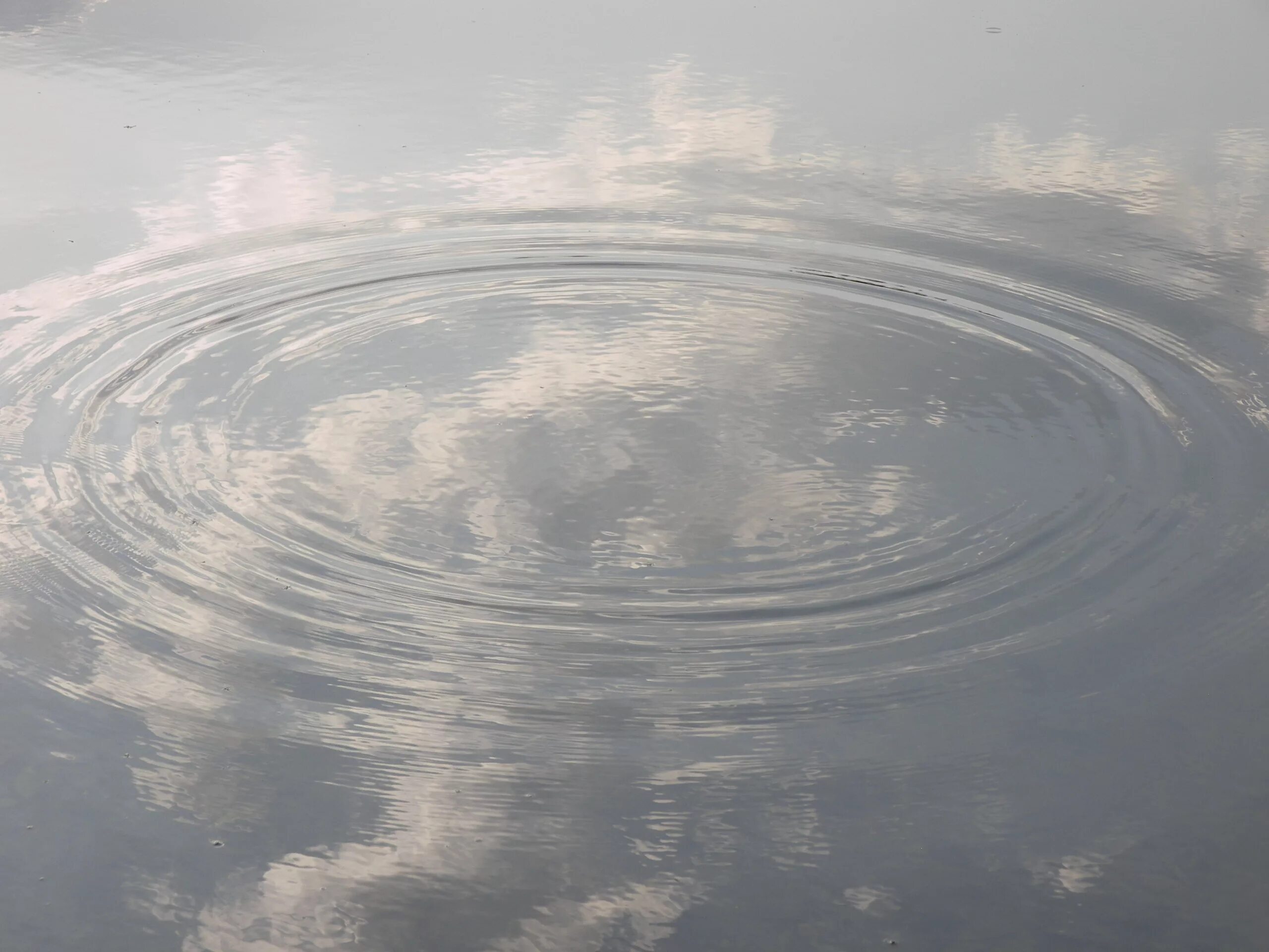 Круги на воде чья. Круги на воде. Круги на реке. Круги от воды. Концентрические круги на воде.