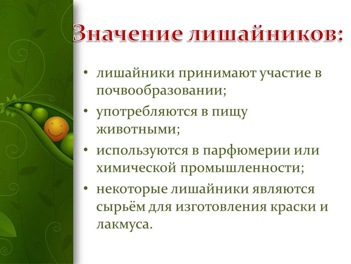 Лишайники учваствуют в почвообрвзование. Роль лишайников в почвообразовании. Значение лишайников. Лишайники пионеры растительности.