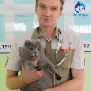 Энимед