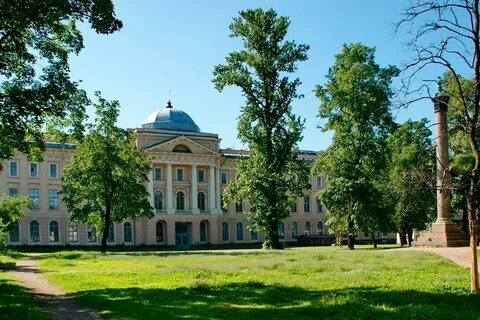 Васильевский остров санкт петербург академия