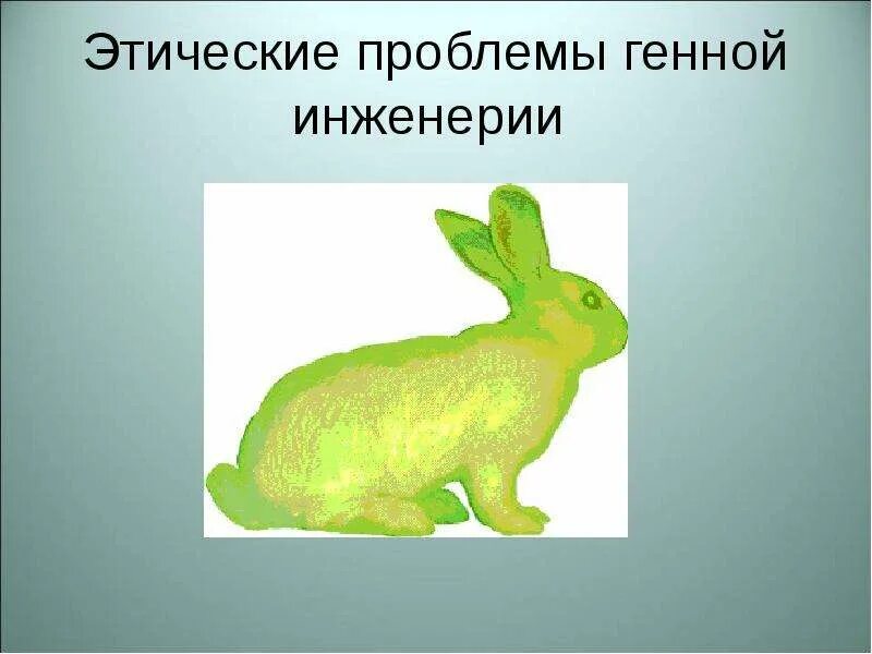 Моральные проблемы международного проекта геном человека Проблемы современной медицины проект
