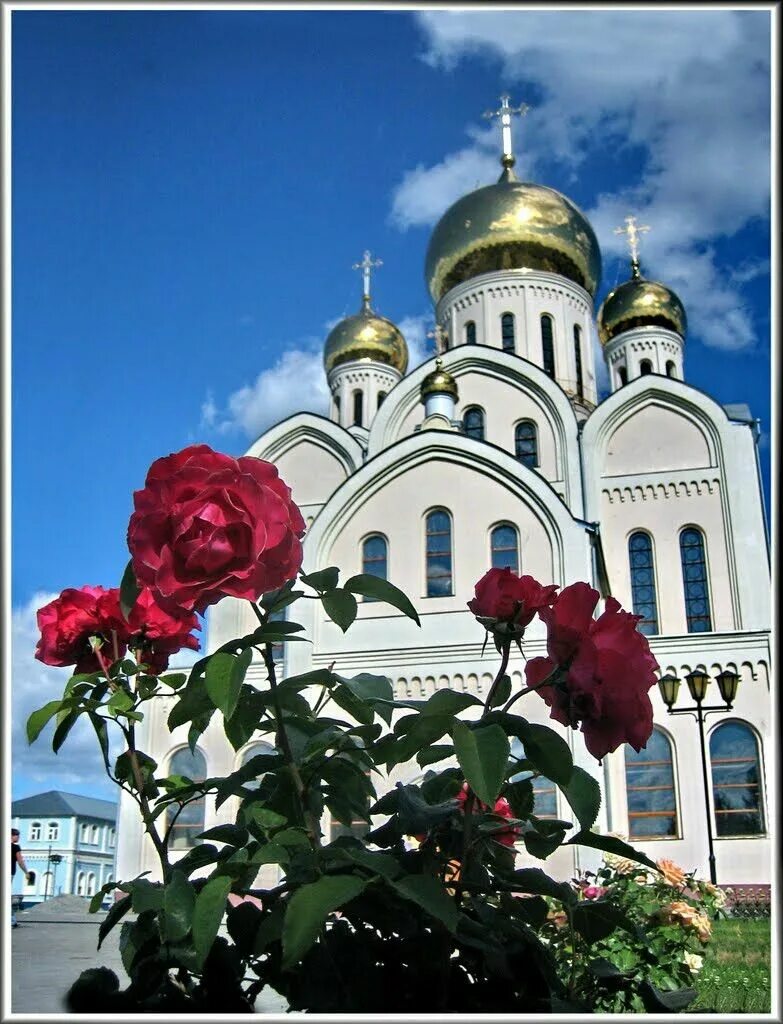 Церкви в цветах. Церковь цветы. Троице преображенский монастырь адлер. Дивеево монастырь природа сад. «сад пресвятой богородицы», борислав павлов.