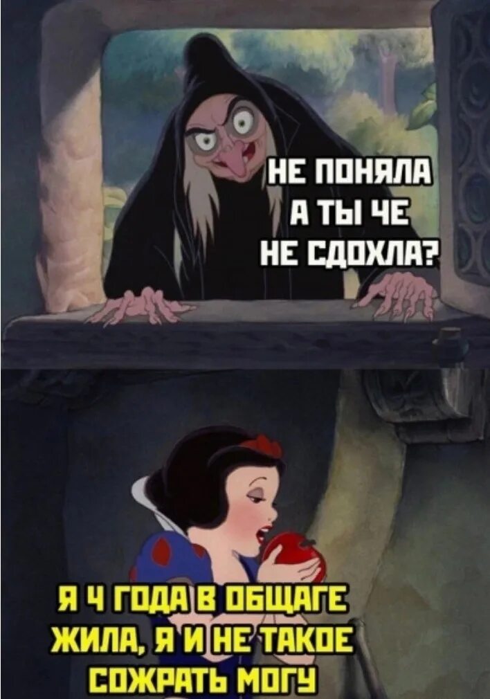 Юмор 21. Белоснежка прикол. Шутки про белоснежку. Белоснежка и семь гномов прикол. Белоснежка и 7 гномов прикол.