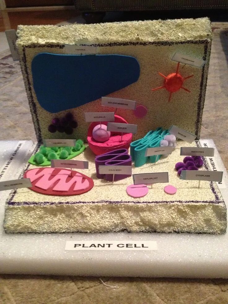 Cell project. Cell project
