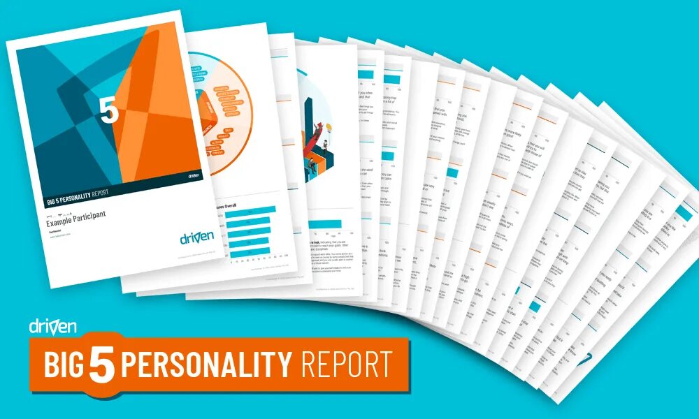 Expense report form. Big five personality test. Information report. Missing report. Biography of a famous person plan.