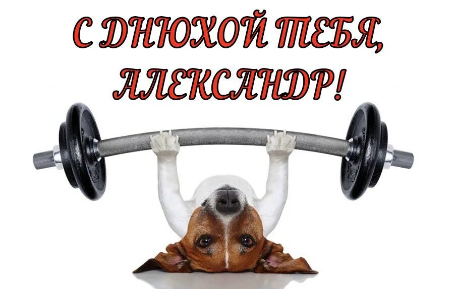 С днем рождения качку. Поздравления спортсмену прикольные. Спортивные открытки с днем рождения. Открытка с юбилеем мужчине спортсмену. С днём рождения спортсмену.