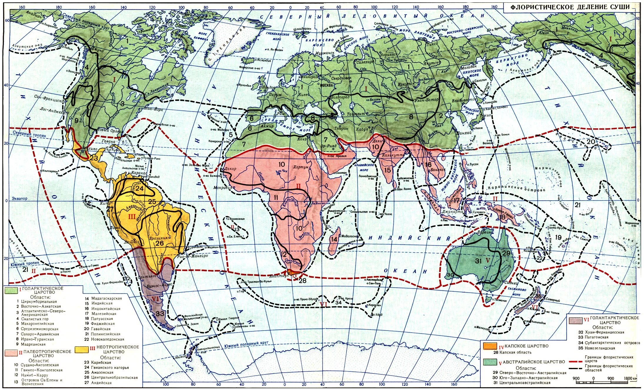 Флористическое районирование суши по Тахтаджяну карта. Фаунистическое районирование суши. Карта флористического районирования суши земного шара. Флористическое районирование Тахтаджян.