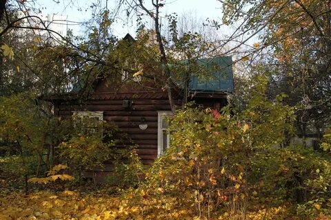 Мфц алексея дикого д 3
