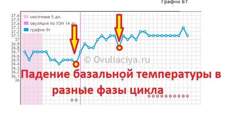 Температура если зачатие произошло