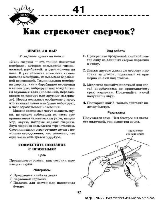 Насекомое издающее стрекочущие звуки. Зачем сверки строкочат ?. Сверчок. Кузнечик насекомое. Сверчок домовый звук.