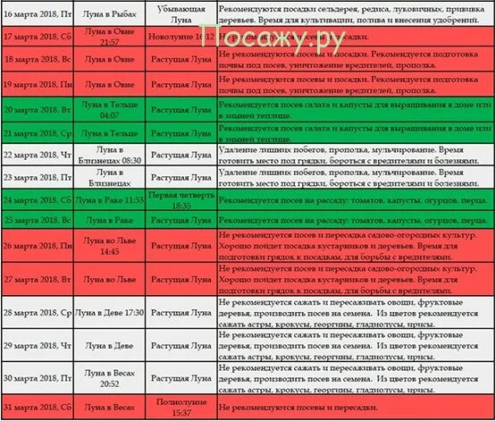 Растущая луна посадка семян. Что сажают на растущей Луне. Какие овощи сажают на растущей Луне. Что сажают на убывающую луну. Сажают на рассаду при убывающей Луне?.