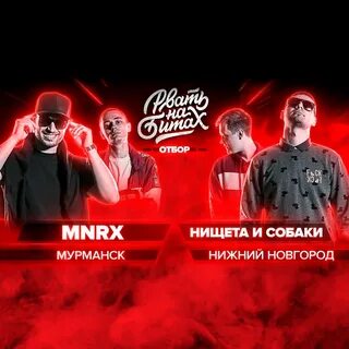 Шавка песня