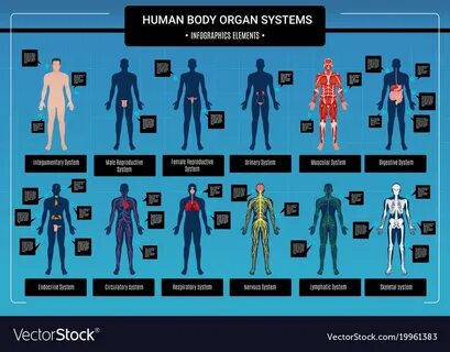 Get human