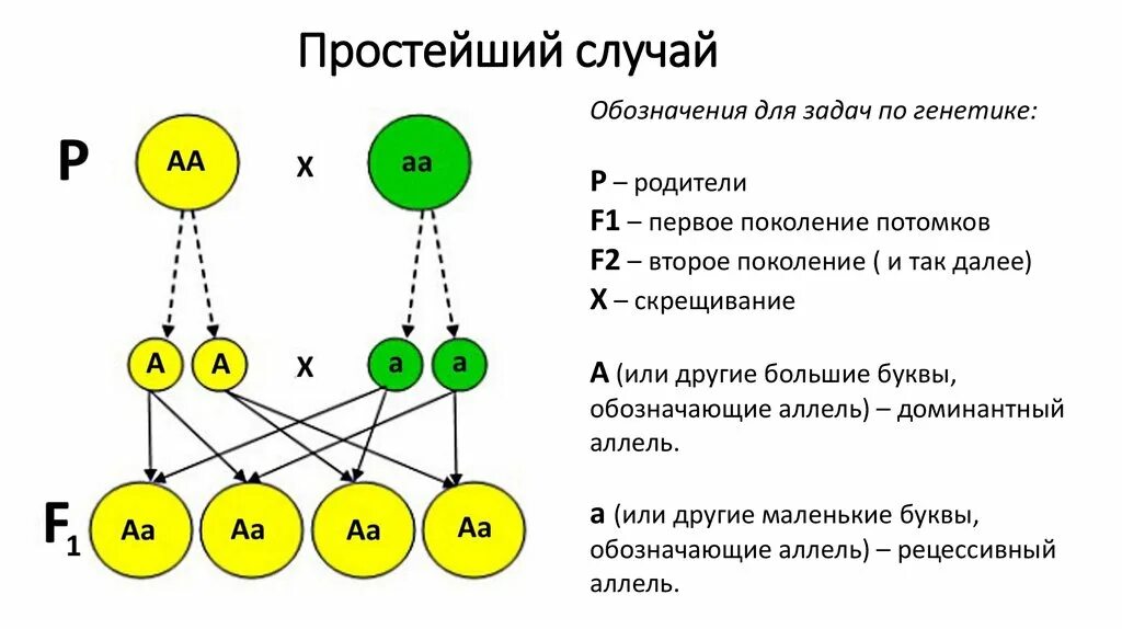 Определите какими могут быть генотипы второго родителя. Задачи по генетике второе поколение. Генетические задачи по биологии обозначения. Обозначения для решения задач по генетике. Условные обозначения для решения задач по генетике.