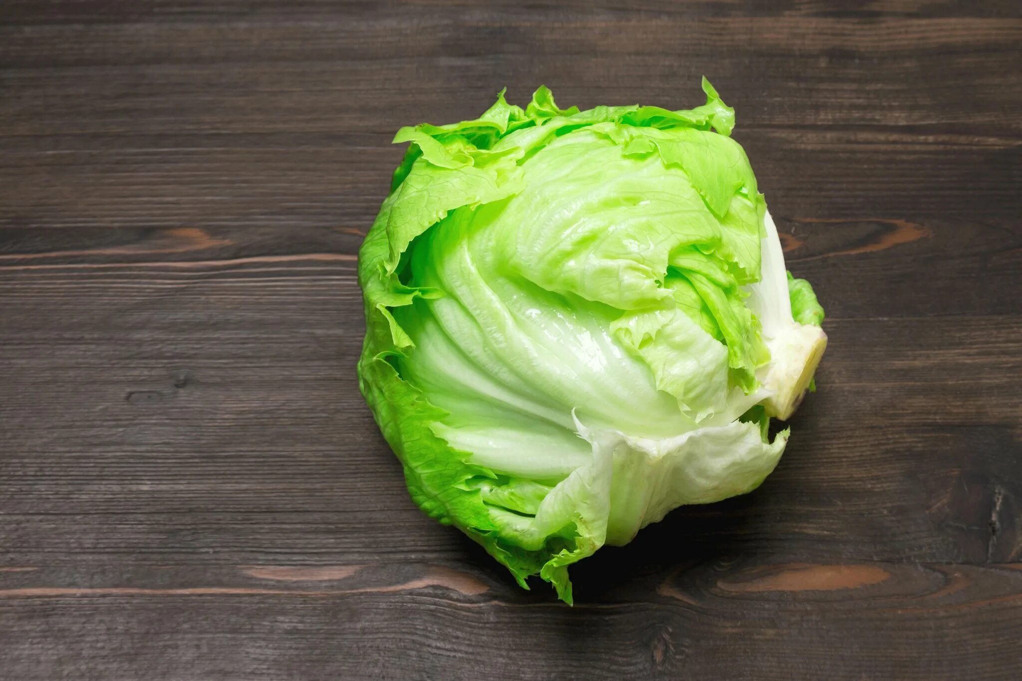 Салатная капуста Айсберг. Iceberg lettuce капуста. Латук Айсберг. Салат кочанный Айсберг.