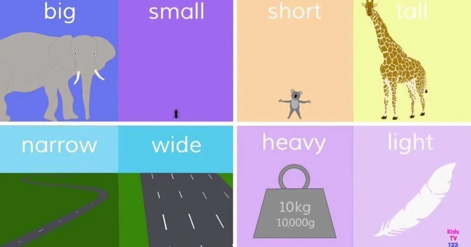 Narrow перевод на русский. Wide narrow opposites. narrow wide for kids. wide narrow картинка для детей. narrow картинки на английском.