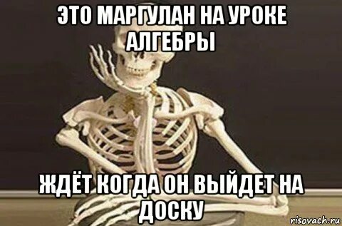 Учи анат