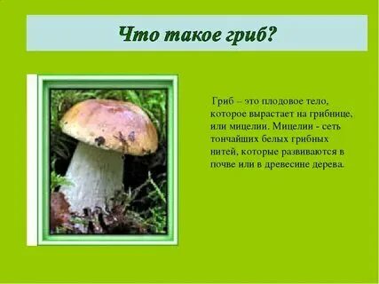 Объясните что такое республика