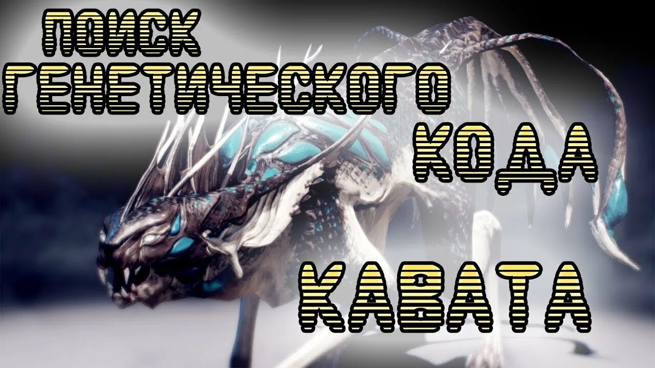 Код каватов варфрейм. Каваты варфрейм. Код каватов варфрейм. Warframe кодекс. Код каватов варфрейм.