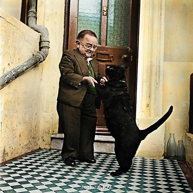 Мужчина и его кот. Мужчина с котиком. Парень с кошкой. Кошка и хозяин. Спящий парень и кот.