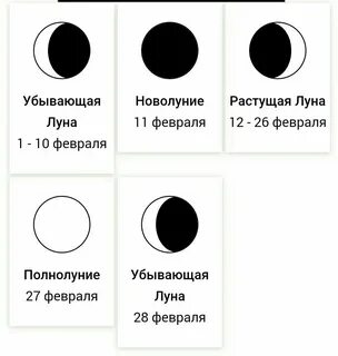 Луна в течение месяца