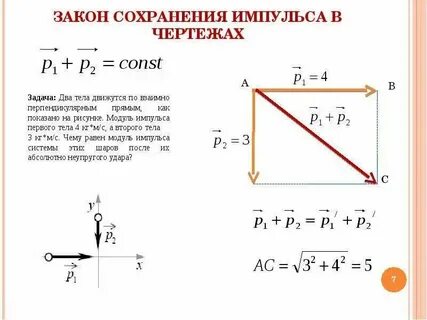 На птицу действуют 4 взаимно перпендикулярные силы