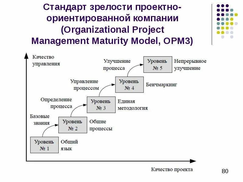 Уровень зрелости функции. Модель зрелости управления проектами беркли. opm3 уровни зрелости. модели зрелости opm3. уровень цифровой зрелости компании.