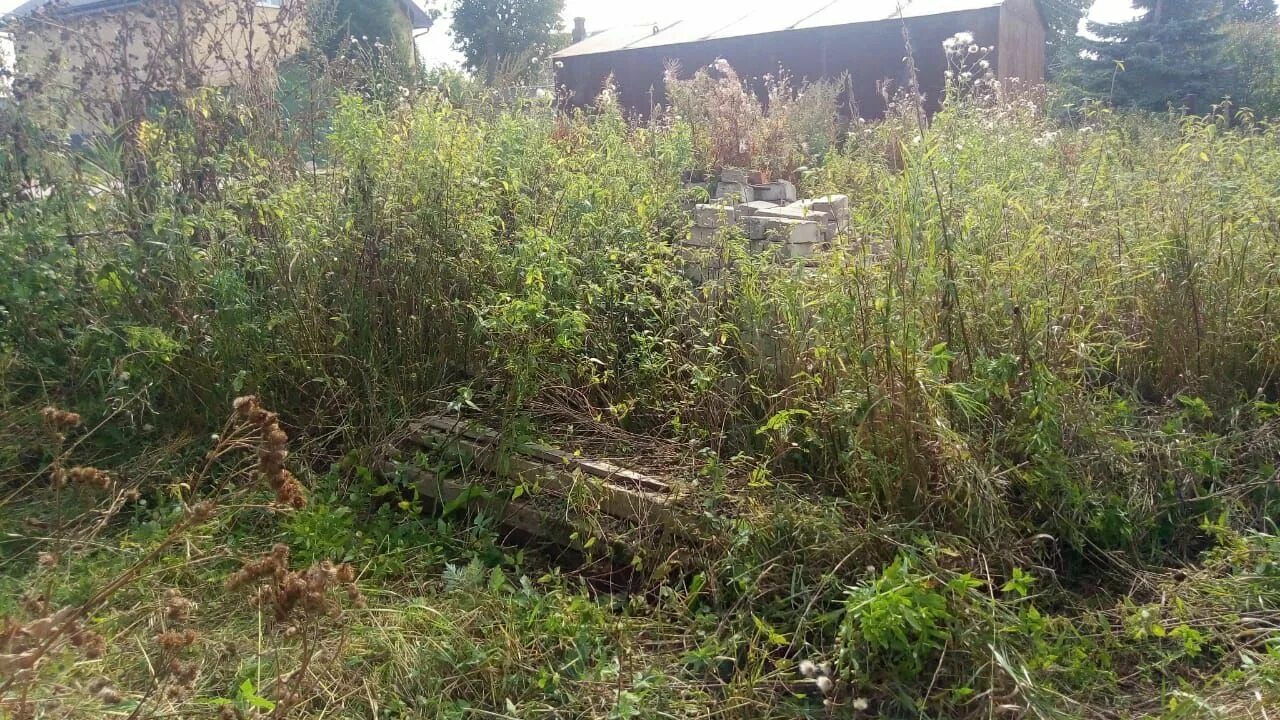 Спил деревьев и кустарников. Спиливание кустарников и деревьев. Расчистка участка от кустарников. Спил деревьев на участке. Вырубка кустарника.