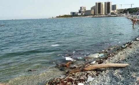Воздух новороссийска