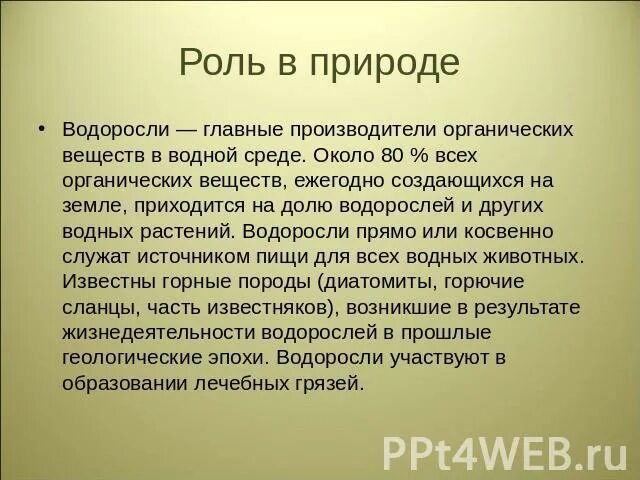 Ролл водорослей в природе. Роль водорослей в природе и жизни человека. Водоросли их роль в природе и жизни человека. Значение водорослей в природе.