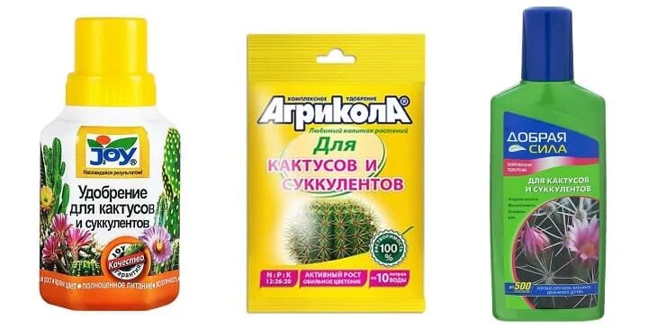 Удобрение для толстянки. Удобрения для суккулентов. удобрения для крассулы. удобрение для денежного дерева.
