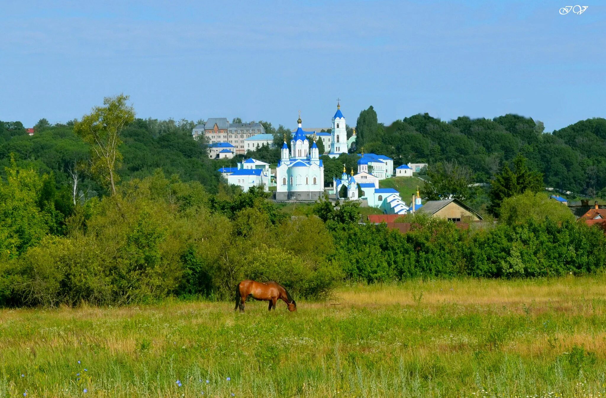 Курская область природа. Курская область Курский край. Курская Коренная пустынь. Природа Курского края.