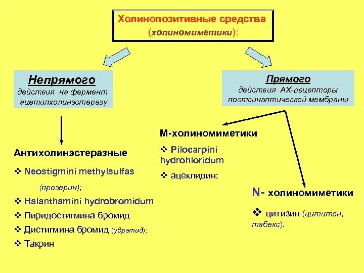 Механизм действия м холиномиметиков. М Н холиномиметики непрямого действия препараты. М холиномиметические препараты классификация механизм действия. Непрямые м-, н-холиномиметики механизм действия. Холиномиметики непрямого действия классификация.