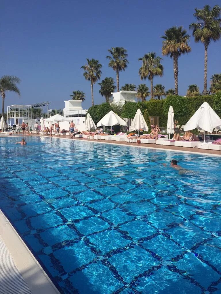 Турция отель q premium resort. Q premium resort 5 турция. Тур в q premium resort 5*. Q premium resort 5 отзывы. Q премиум резорт 5 алания.