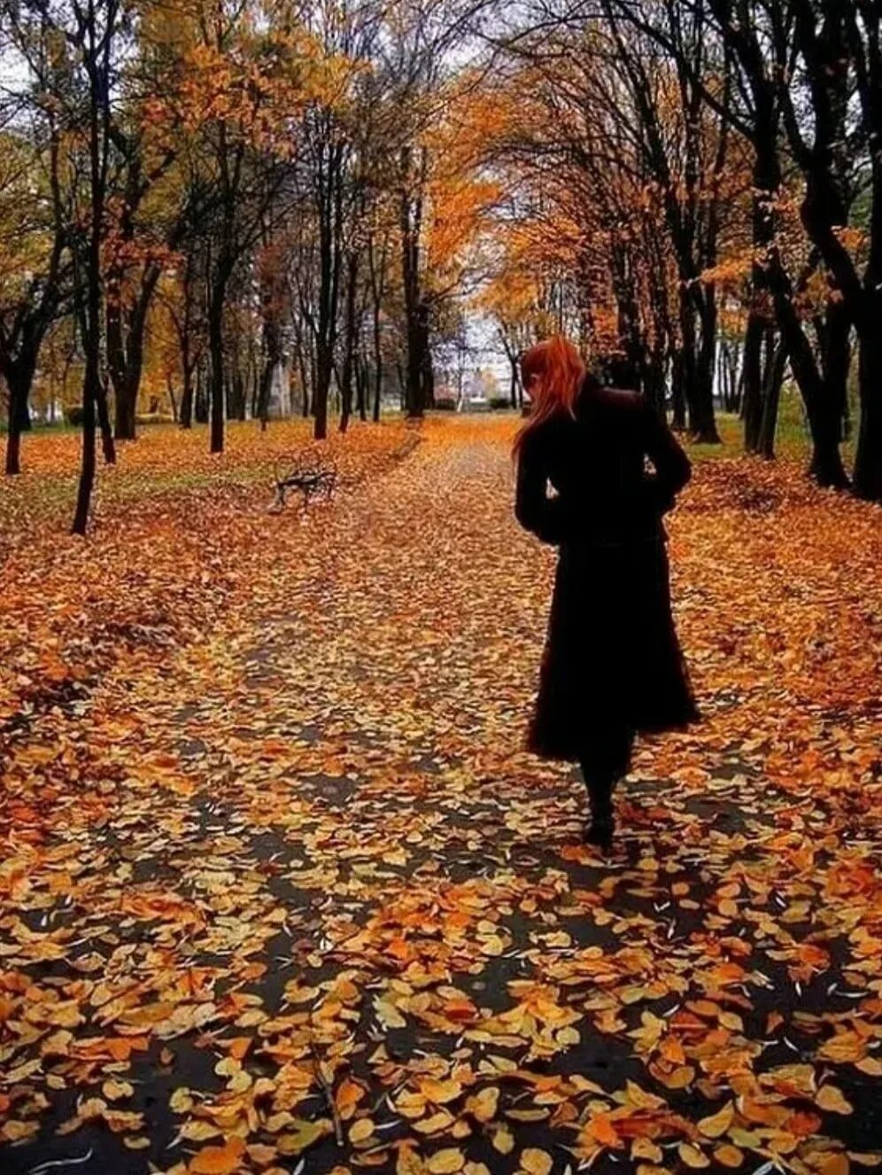 Листопад ничего
