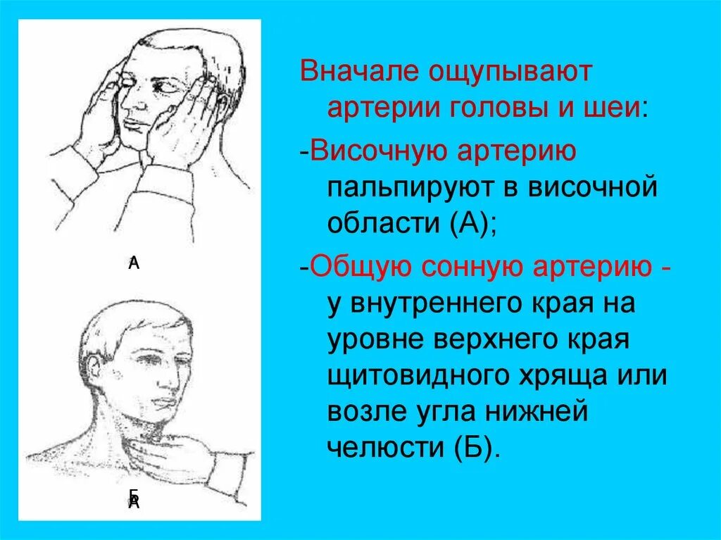 Пальпация общей сонной артерии. Пальпация височной артерии. Пальпация пульса на височных артериях. Пульс на височной артерии. Сонная артерия как нащупать где