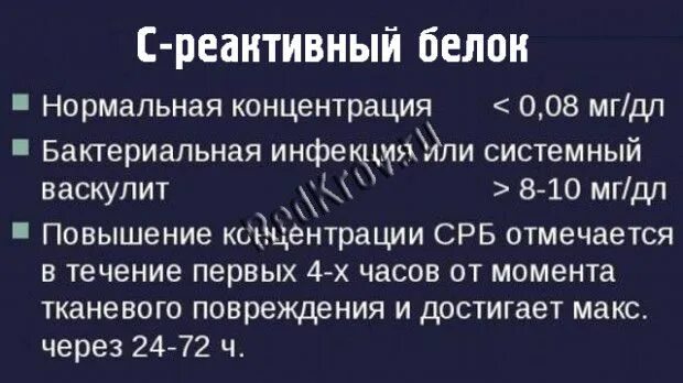 Сколько должно быть с реактивного белка. Норма с-реактивного белка. C реактивный белок норма. Реактивный белок в крови норма. Норма СРБ В крови.