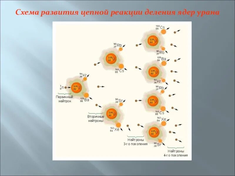Сколько ядер урана. Схема ядерной реакции урана. схема цепной ядерной реакции деления ядра урана. схема развития цепной реакции деления ядер урана. схема цепной реакции деления ядер урана.