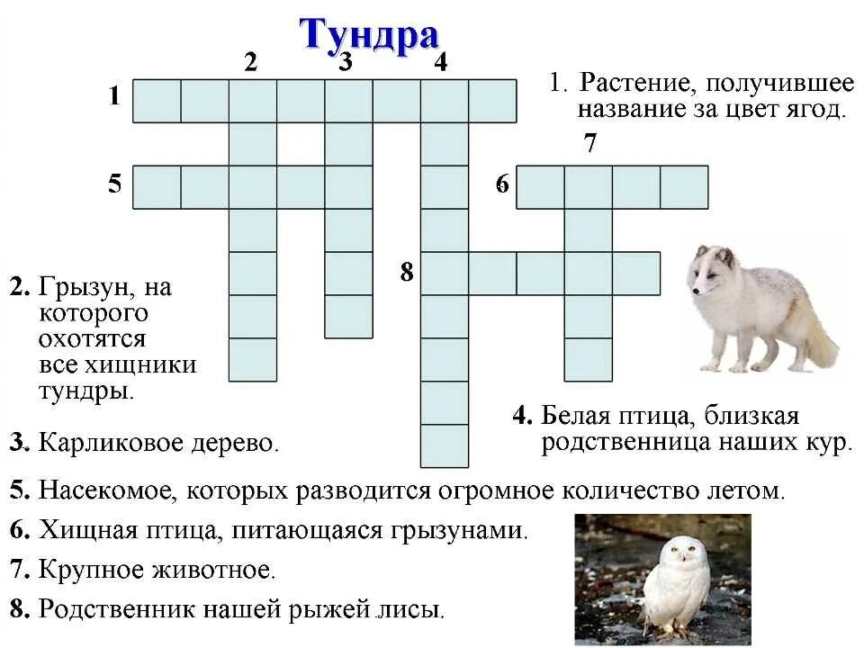 Кроссворд природная зона с вопросами. Кроссворд на тему животные. Кроссворд на тему живот. Кроссворд на тему животные и растения. Кроссворд про животных с ответами.