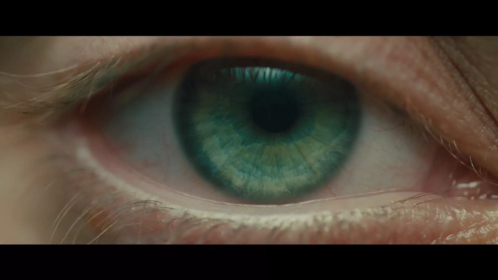 Линза футуристическая. Бегущий по лезвию глаз. Глаз человека. Eye scene. Глаз человека.
